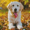 Labrador Retriever With Autumn Leaves Diamond Painting