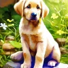 Labrador Puppy Diamond Painting