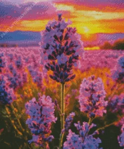 Lavender With Sunrise Diamond Painting