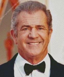 Mel Gibson Celebrity Diamond Painting