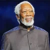 Morgan Freeman Celebrity Diamond Painting