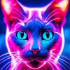 Neon Purple Cat Diamond Painting