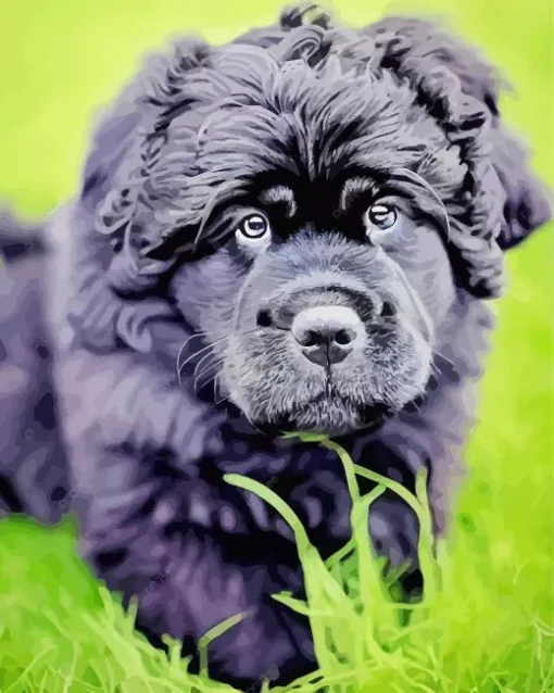 Newfoundland Dog Diamond Painting