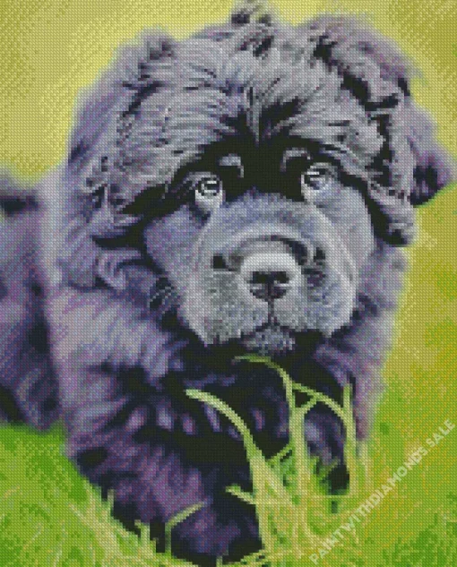 Newfoundland Dog Diamond Painting