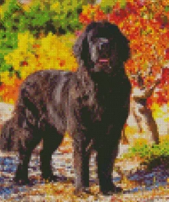 Newfoundland In A Garden Diamond Painting