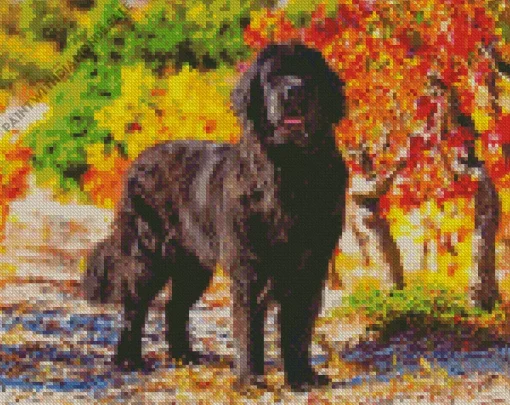 Newfoundland In A Garden Diamond Painting