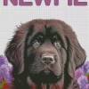 Newfoundland Poster Diamond Painting