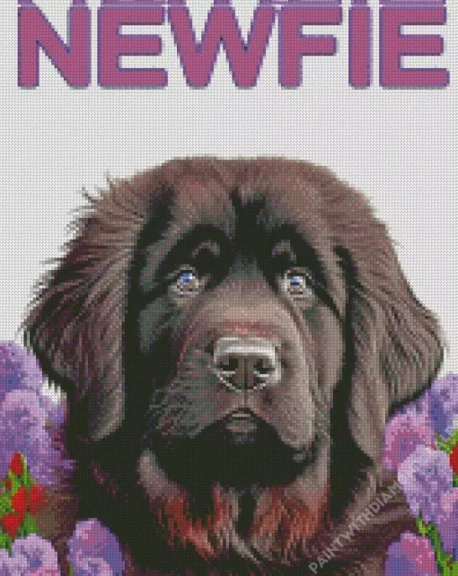 Newfoundland Poster Diamond Painting