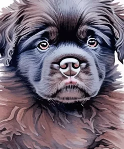 Newfoundland Puppy Art Diamond Painting