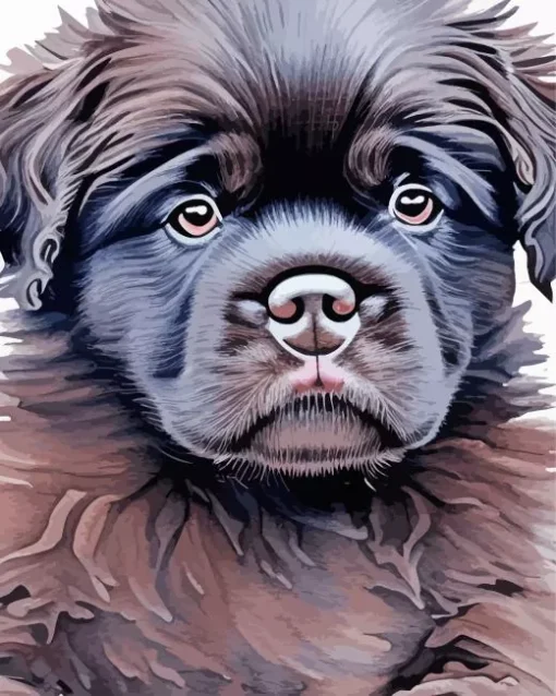 Newfoundland Puppy Art Diamond Painting