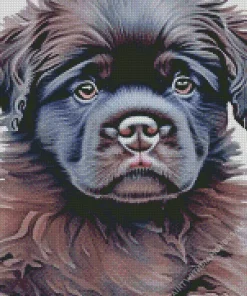 Newfoundland Puppy Art Diamond Painting