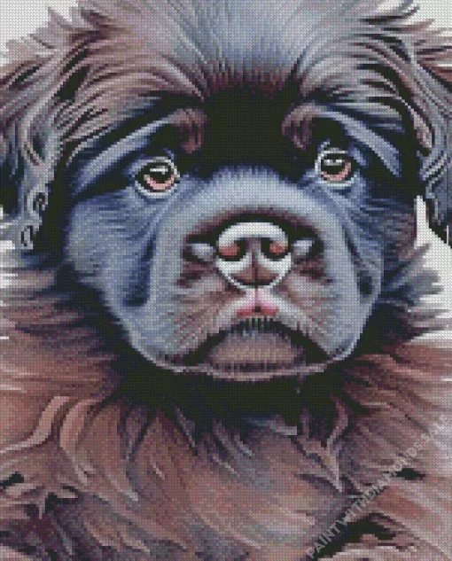 Newfoundland Puppy Art Diamond Painting