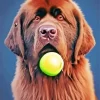 Newfoundland With Tennis Ball Diamond Painting