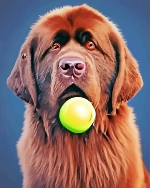 Newfoundland With Tennis Ball Diamond Painting