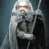 Oin The Hobbit Diamond Painting