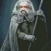 Oin The Hobbit Diamond Painting