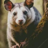 Opossum On A Tree Diamond Painting