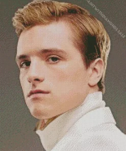 Peeta Mellark The Hunger Games Diamond Painting