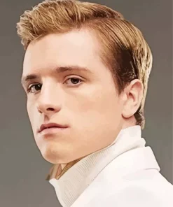 Peeta Mellark The Hunger Games Diamond Painting