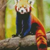 Red Panda With Elf Ears Diamond Painting