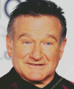 Robin Williams Actor Diamond Painting