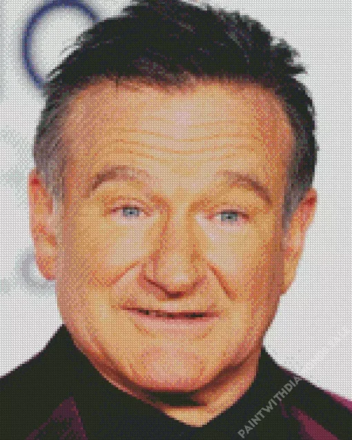 Robin Williams Actor Diamond Painting