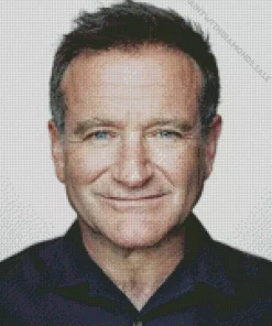 Robin Williams Celebrity Diamond Painting