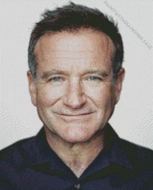 Robin Williams Celebrity Diamond Painting