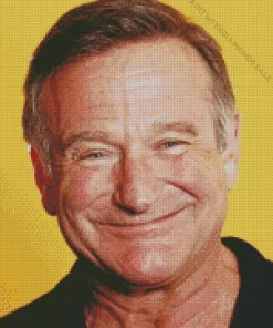 Robin Williams Smiling Diamond Painting