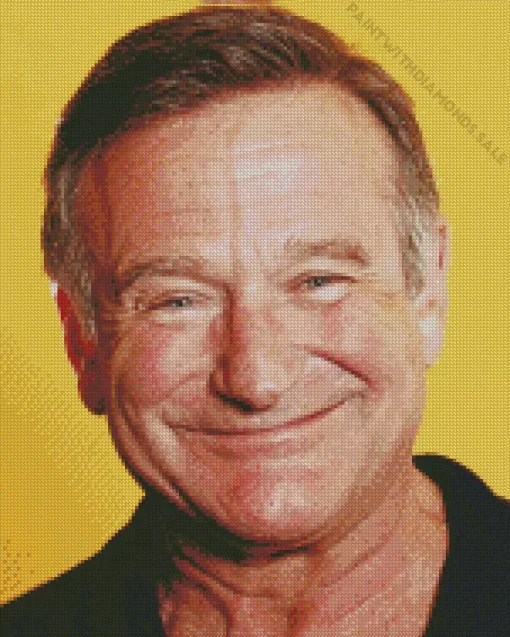 Robin Williams Smiling Diamond Painting