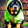 Rottweiler In A Green Hoodie Diamond Painting