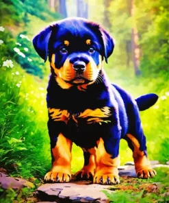 Rottweiler Puppy Diamond Painting