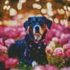 Rottweiler With Pink Flowers Diamond Painting