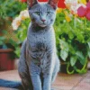 Russian Blue Diamond Painting