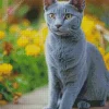 Russian Blue Cat Diamond Painting