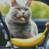 Russian Blue Eating Banana Diamond Painting