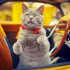 Russian Blue In A Vintage Car Diamond Painting