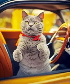 Russian Blue In A Vintage Car Diamond Painting