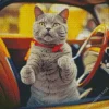 Russian Blue In A Vintage Car Diamond Painting