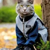 Russian Blue Wearing Sport Clothes Diamond Painting