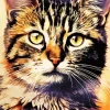 Tabby Cat Art Diamond Painting