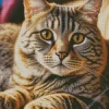 Tabby Cat With Brown Eyes Diamond Painting