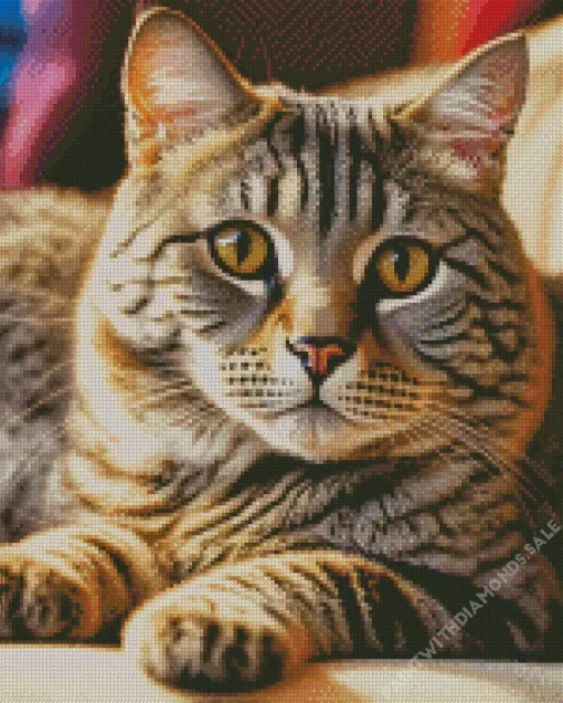 Tabby Cat With Brown Eyes Diamond Painting