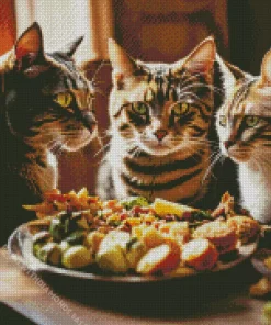 Tabby Cats Eating Diamond Painting