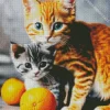 Tabby Cats With Oranges Diamond Painting