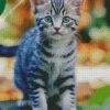 Tabby Kitten Diamond Painting