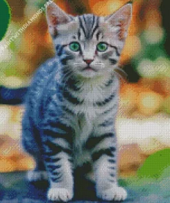 Tabby Kitten Diamond Painting