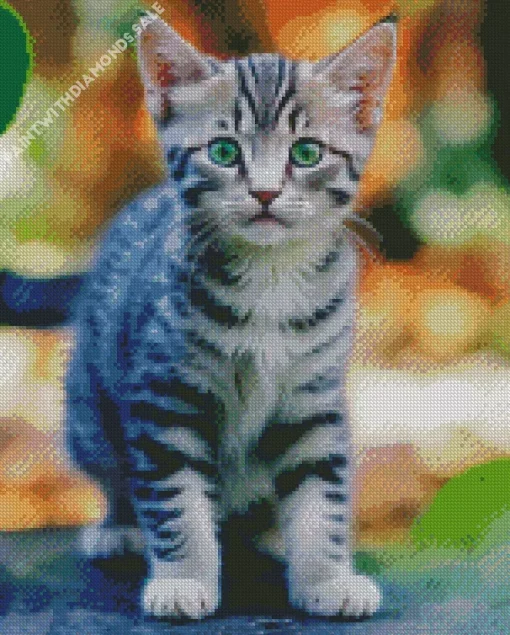 Tabby Kitten Diamond Painting