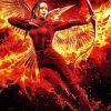 The Hunger Games Movie Diamond Painting