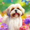 Tibetan Terrier Art Diamond Painting